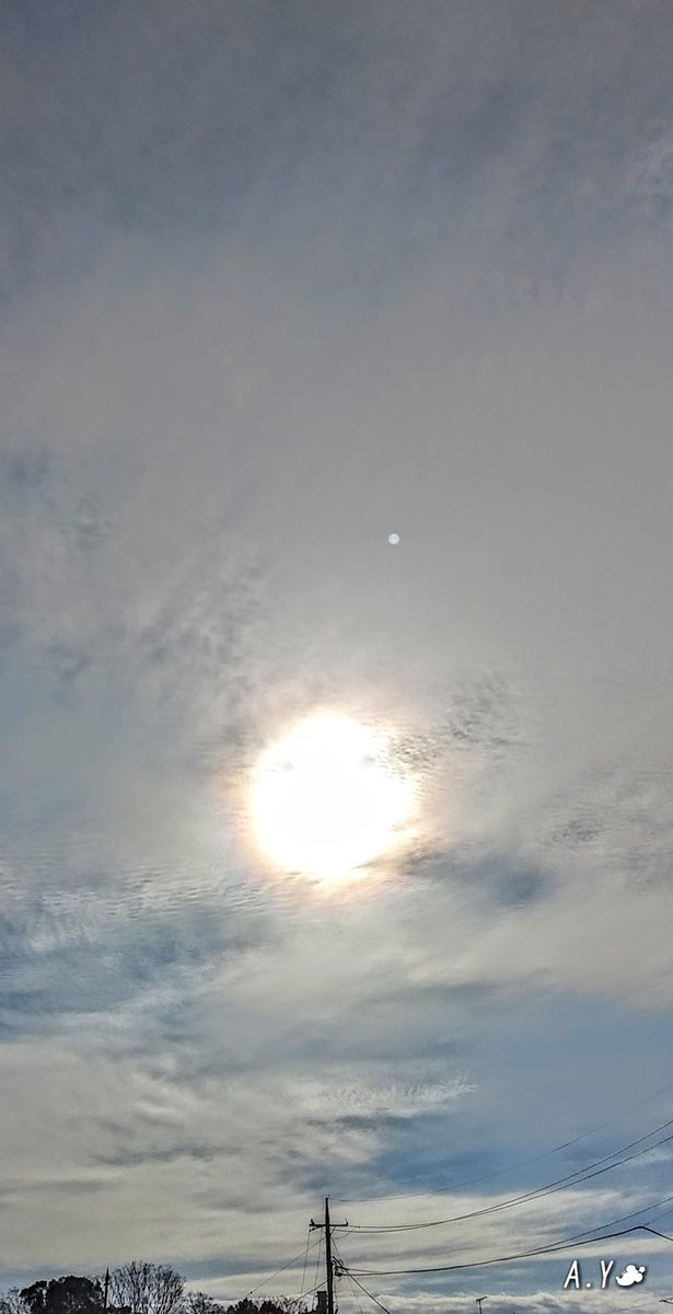 yumeasutw's tweet photo. 空一面 #薄雲 が広がり、
お日様の回りを虹色に彩る
日曜日の朝🌈🌤️
只今の気温🌡️8℃
本日の最高気温🌡️13℃
晴れ☀️
日中は南風がそよぎ、夜は北風に変わる予報です。
#イマソラ
#空の名前
#雲の教室
#巻層雲
#巻雲
#巻積雲
#高積雲
#ジョン・F・ケネディ 🌹
#バラ #rose
#花
#a2020 #a1129 #a202011 https://t.co/cKoI1tSJNt