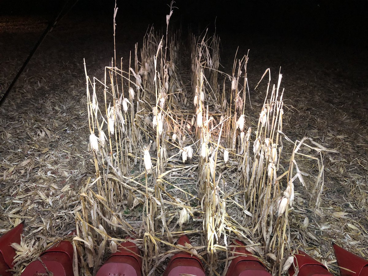 Obligatory last pass picture... #harvest2020 in the books!