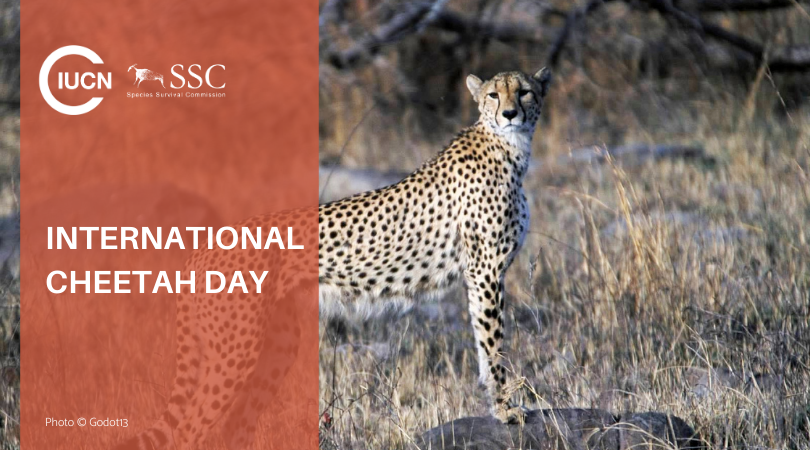 IUCN Species Survival Commission tweet media