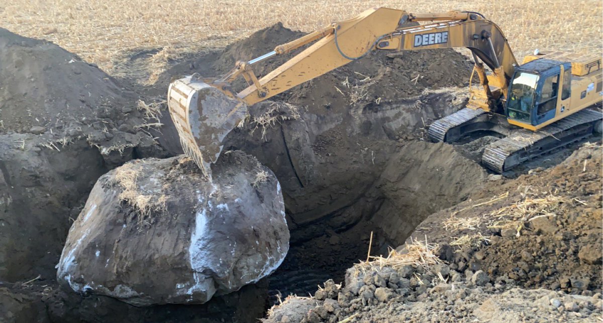 caylor_rosenau's tweet image. If 2020 was a rock.