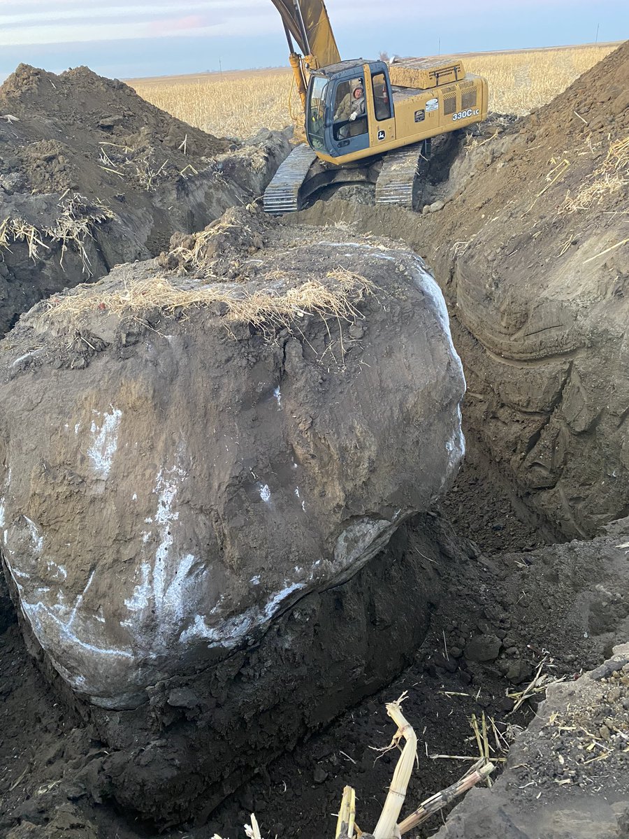 caylor_rosenau's tweet image. If 2020 was a rock.