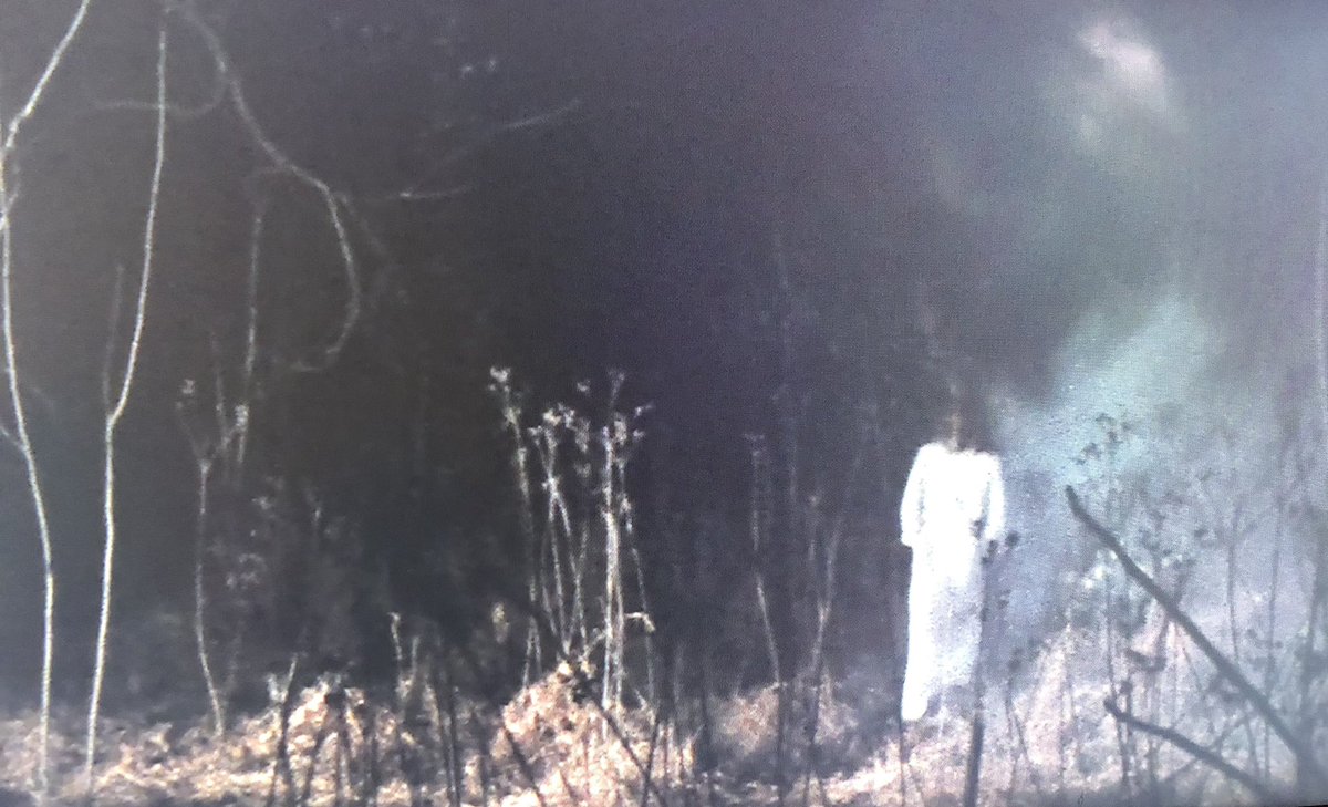 monstersndrinks's tweet image. One should never walk alone on the Tennessee moors at night! #KillerSaturday #EvilDead   #MutantFam #HorrorFam