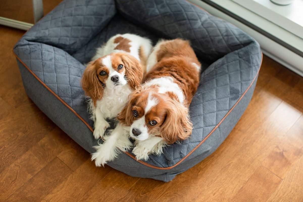 Shop Local Labels tweet media