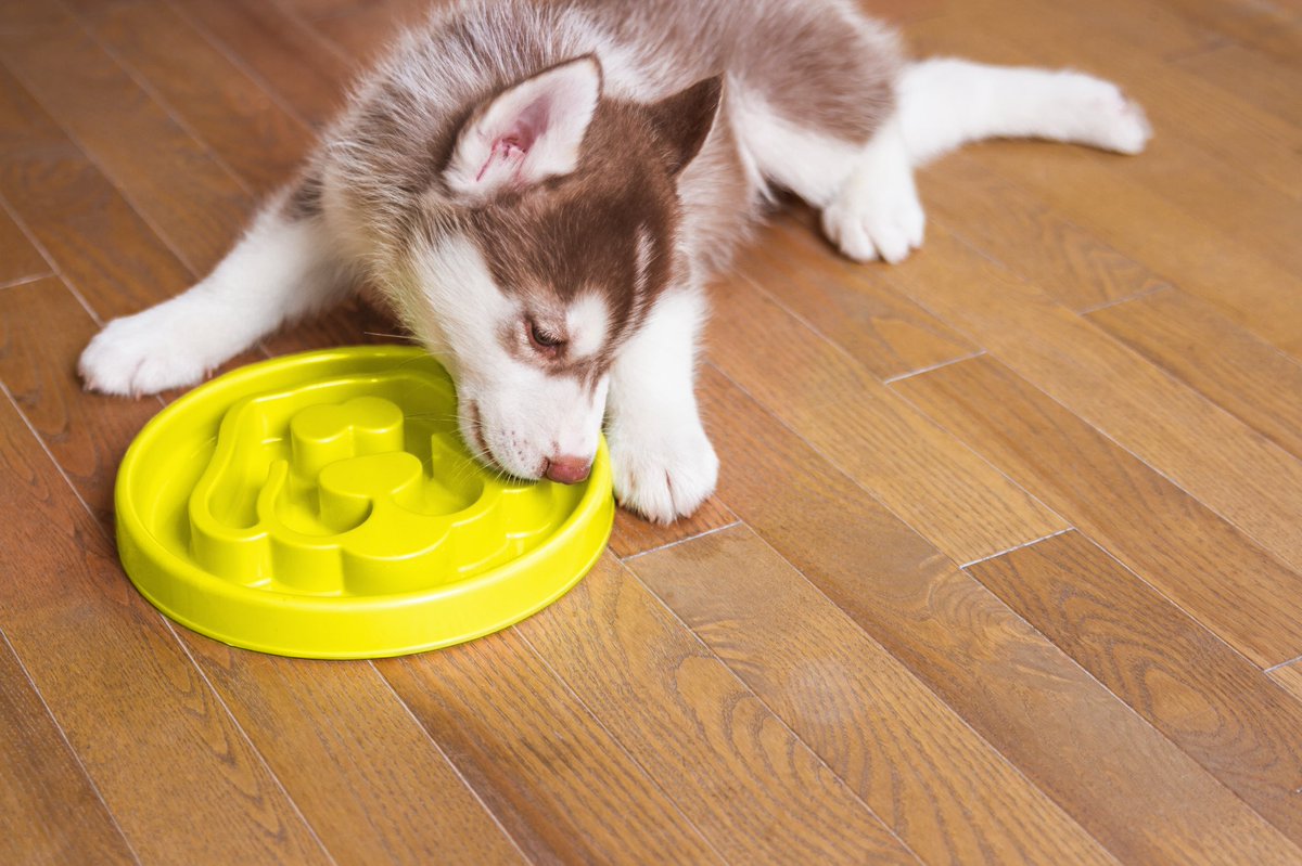 Shop Local Labels tweet media