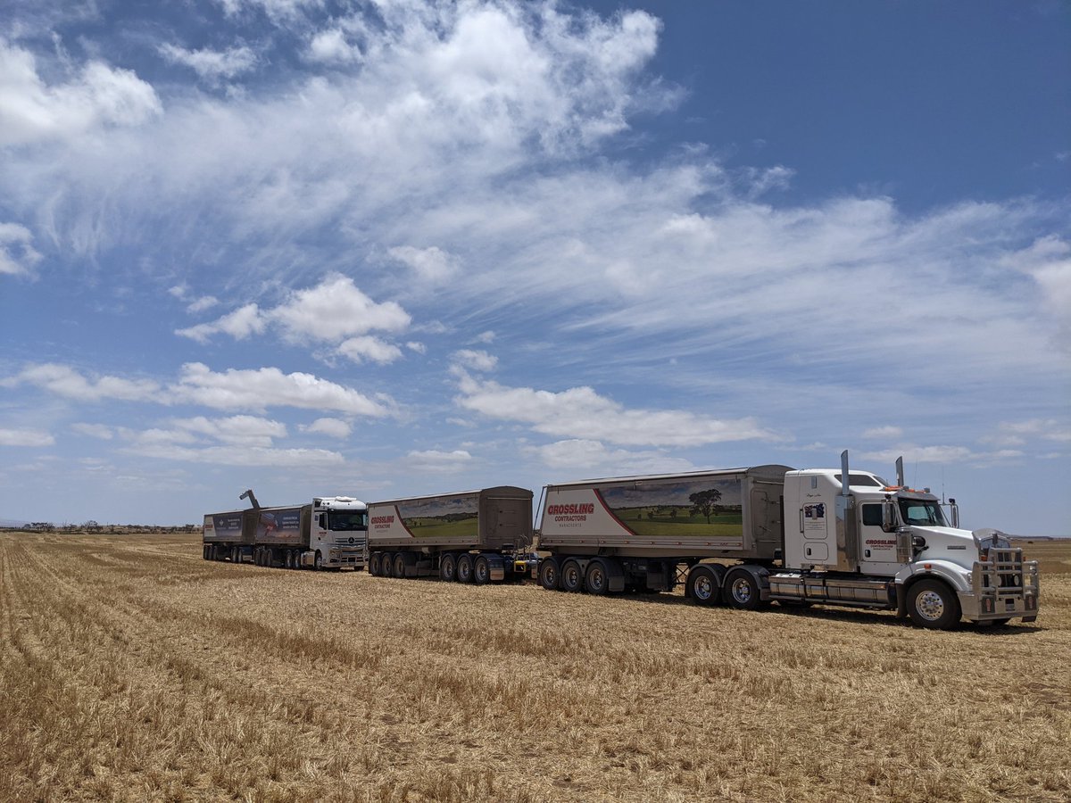 Last 2 loads of #harvest20 for @piringafarm been a pleasure to help out again. Thanks Nick #crosslingcontractors now has a few spare trucks if anyone needs a hard