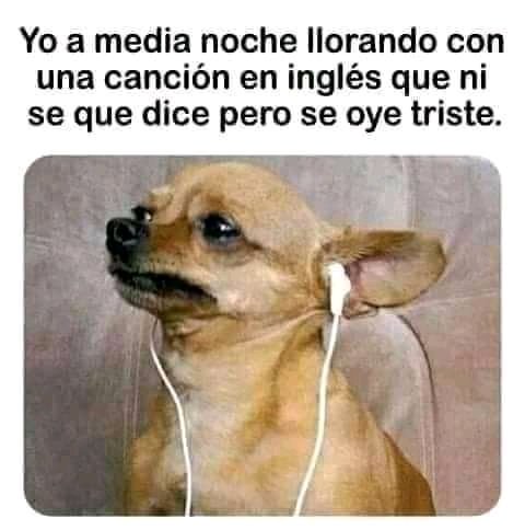 NaraliRamirezR's tweet photo. A reír un rato o a estudiar inglés para saber que dicen las canciones? https://t.co/DSWFhcuP87
