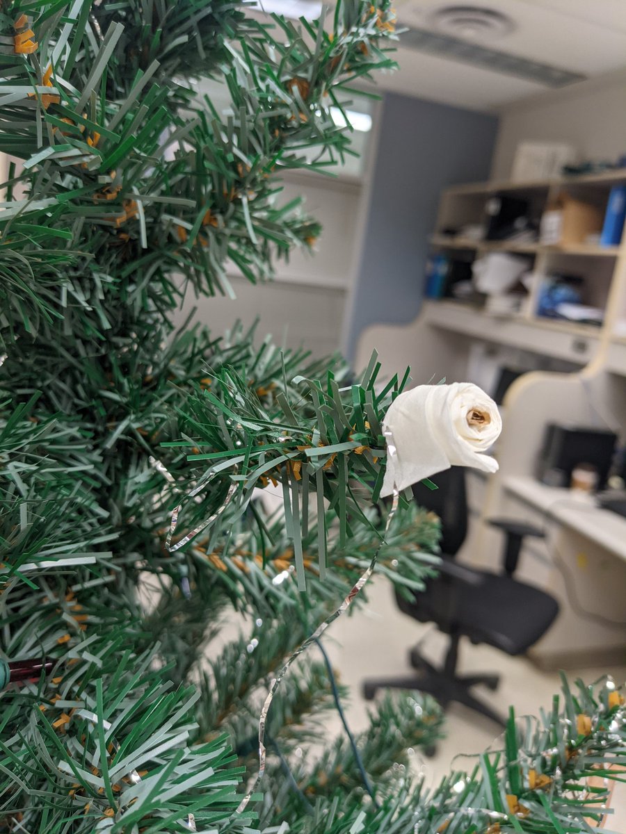 AmyWooldridge_'s tweet photo. Further #labhack: make tiny #toiletroll decorations using one kimwipe, some brown paper towel and a small piece of clear tape.
Works best if you cut the folded Kimwipe after assembling, so that it looks as if the roll is unraveling a little
#labdecorating #labxmas https://t.co/uMuZEpXrfz