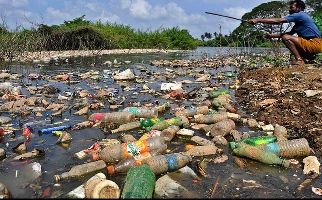 Zero Waste Eco-Store tweet media