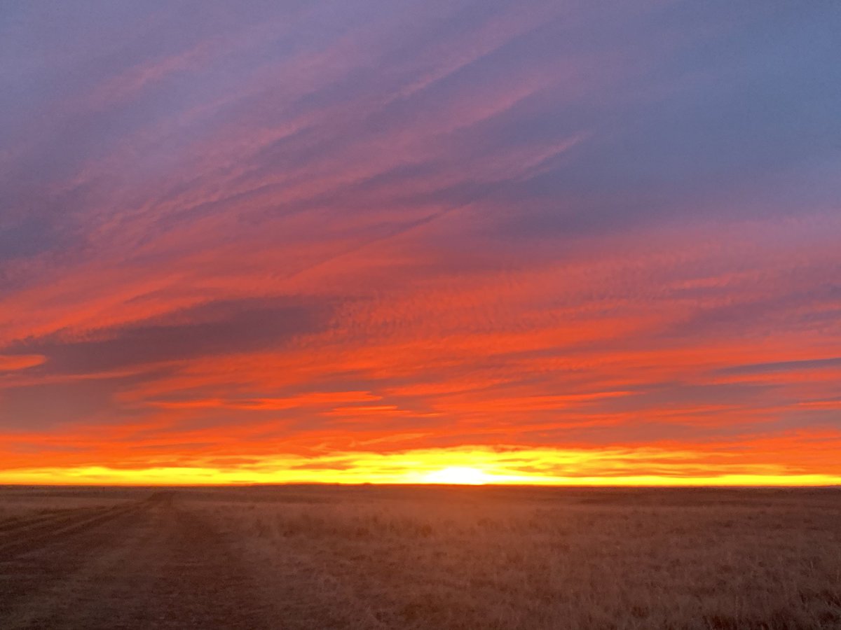 ShawnHend76's tweet photo. Good morning Montana! #flatearf #nofilter https://t.co/Hi1fTgb67P