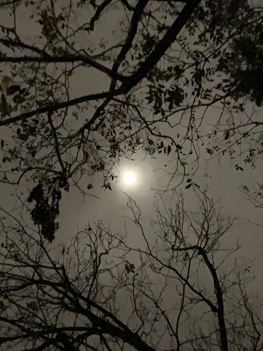 sokamoto's tweet photo. Good night, Columbus! The waxing gibbous moon at 98.6% is trying to shine in a cloudy sky. #ColumbusGA #11/28/2020 #chilly #stilldamp #verywetground #neighborsdogshowling #moonobsessioncontinues https://t.co/Teemo4aUiS