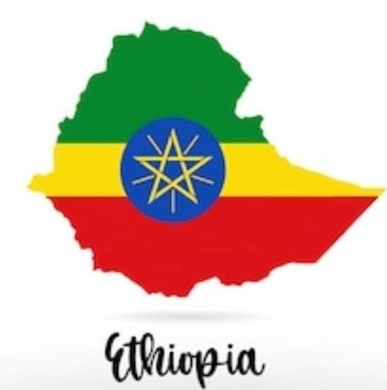 bintyasuf's tweet photo. አልሀምዱ ሊላህ ደስታዬ ወደር አጣ 
ኢትዮኢትዮዽያ✊ ሰላመሽ የብዛ
ሀዘን ይብቃን አስኪ ደግደጉን የምንሰማበት ጊዜ ይምጣ https://t.co/yOEXBAU0i7