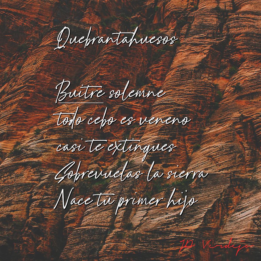 Poember día 28
#Buitre
Más info sobre este reto: @Rojo_Bosque
#Poember #Poember2020 #poesía #poema #poetry #poem
https://t.co/we0UKVwQFK https://t.co/NJlroR0c31