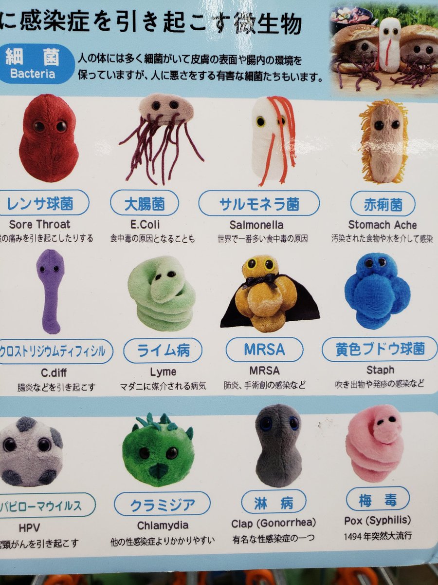 タコス味蒸しパン 81hanntari Twitter タコス味蒸しパン 81hanntari Twitter