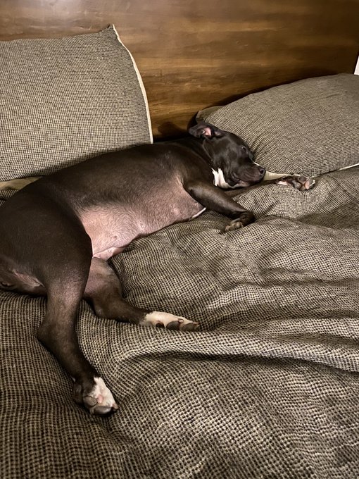 mood https://t.co/av61MES6X5