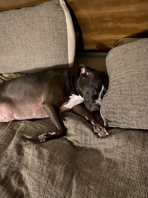 mood https://t.co/av61MES6X5