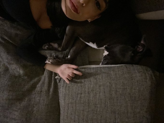 mood https://t.co/av61MES6X5