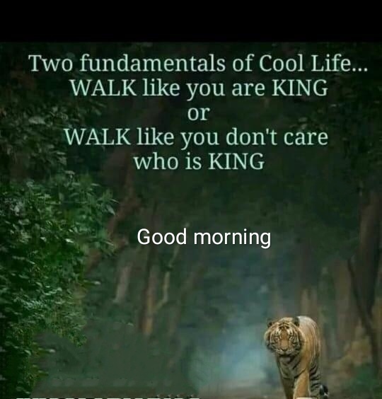 tiwari057's tweet photo. Good morning https://t.co/03iq2tYS6x
