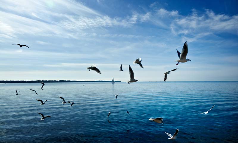 Solutions&Co (@solutionsandco) on Twitter photo 🌍🧑🏾🌱 The <a href="/UNESCO/">UNESCO 🏛️ #Education #Sciences #Culture 🇺🇳</a>'s Man and the Biosphere program has for 50 years established a scientific basis guiding the relationship between humans and the environment. Meriem Bouamrane analyses its history.
Read the interview on <a href="/open_resource/">Open {re}Source</a> by <a href="/suez/">SUEZ</a>: bit.ly/32QgiTr 🌍🧑🏾🌱 The <a href="/UNESCO/">UNESCO 🏛️ #Education #Sciences #Culture 🇺🇳</a>'s Man and the Biosphere program has for 50 years established a scientific basis guiding the relationship between humans and the environment. Meriem Bouamrane analyses its history.
Read the interview on <a href="/open_resource/">Open {re}Source</a> by <a href="/suez/">SUEZ</a>: bit.ly/32QgiTr