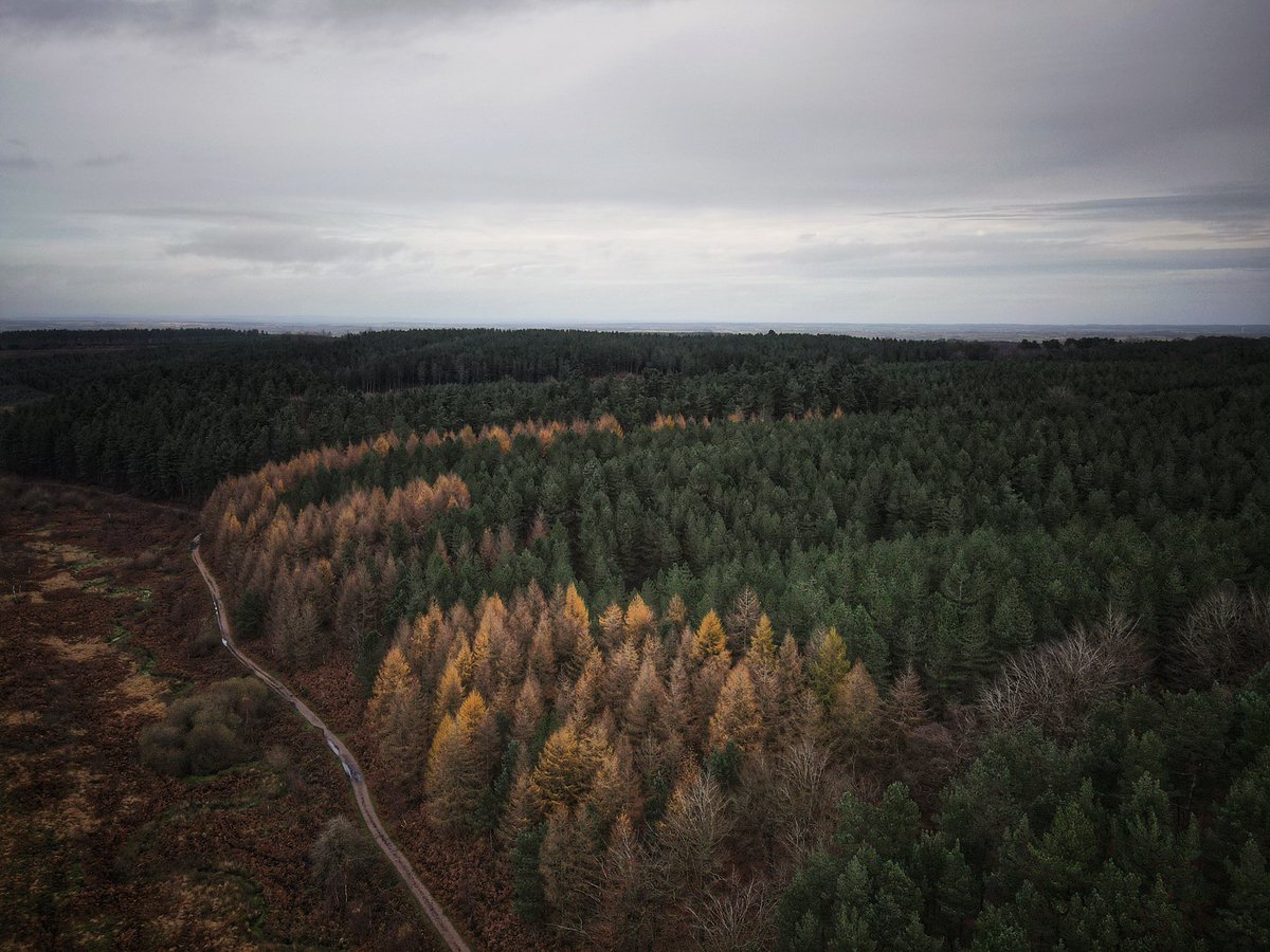 Yesterday’s adventure over Cannock chase taking in the amazing autumnal colours. 

#autumn #adventure #hiking #getoutdoors #exploremore
