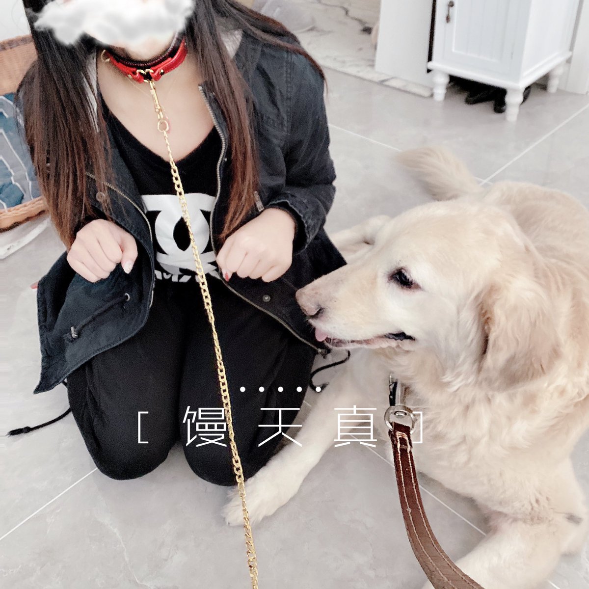 虽然我主目前錒没多奴，但他的确有两只狗，థ౪థ https://t.co/hObwB5yD1z