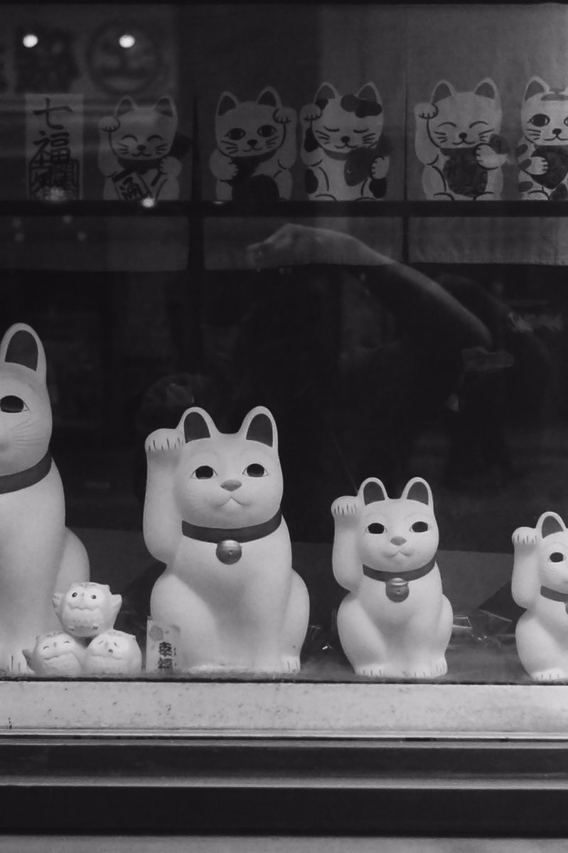 zucche's tweet photo. 渋谷から南に歩く
#arco35 #acros #渋谷桜丘 https://t.co/sDRtmDLuBe