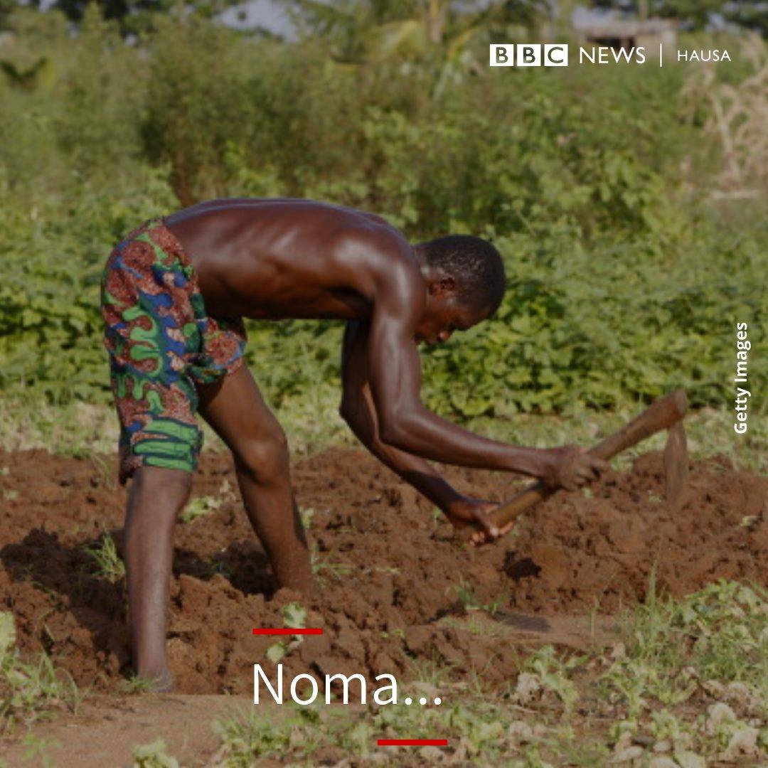 bbchausa's tweet photo. Wane kirari ne Malam Bahaushe yake yi wa noma? https://t.co/fy9lcoGHyh