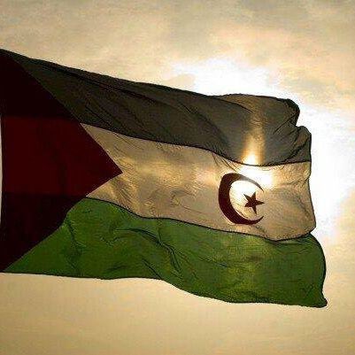 Iraultza1921's tweet photo. EUTSI SAHARAKO HERRIA! Orain inoiz baino gehiago, SAHARA ASKATU! Ahora más que nunca, SAHARA LIBRE. https://t.co/PGWrrbXhCL