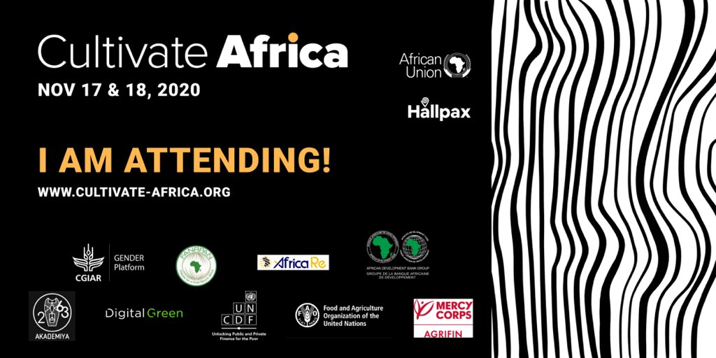#cultivateafrica #africanconference #africainaction #africaunion #hallpax