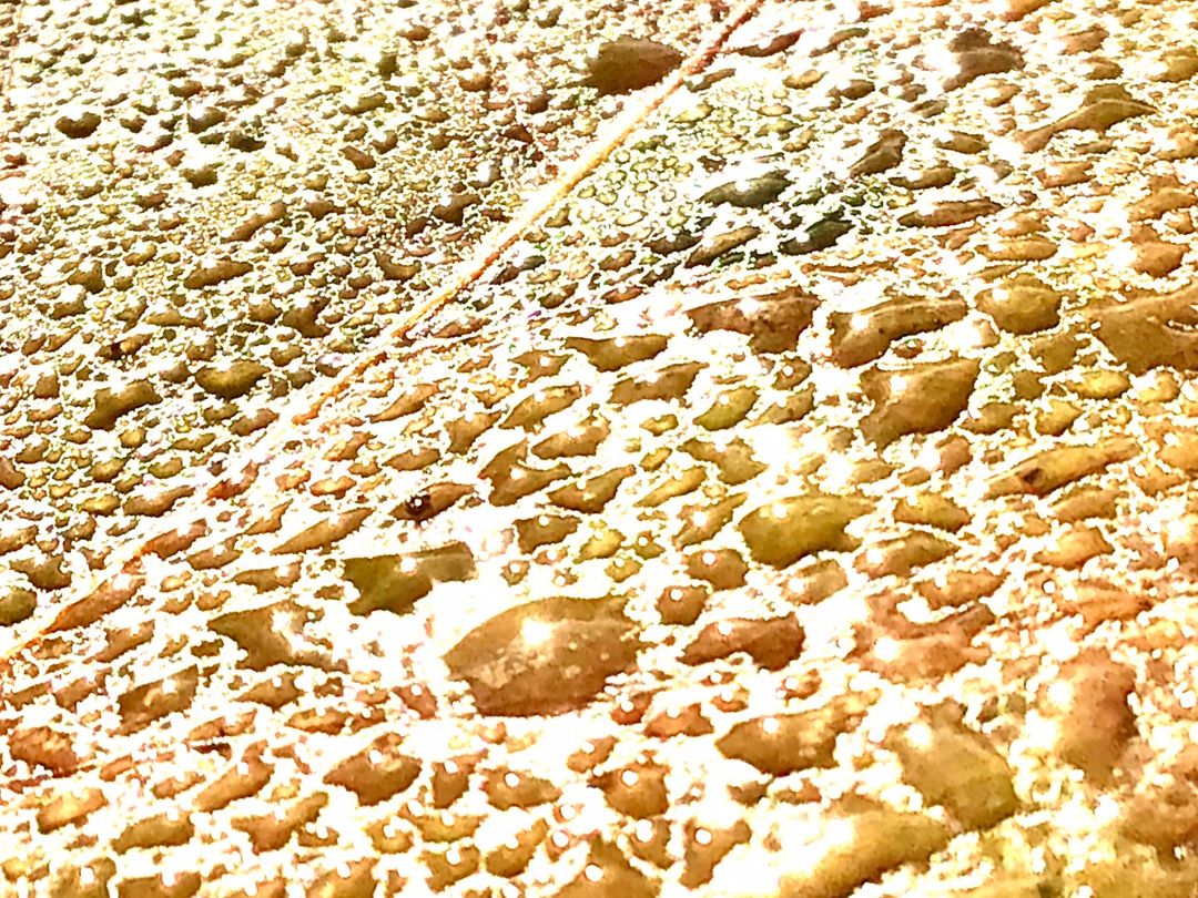 Outdoor Ed tweet media