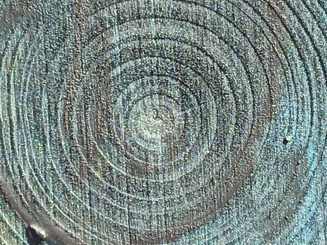 Outdoor Ed tweet media