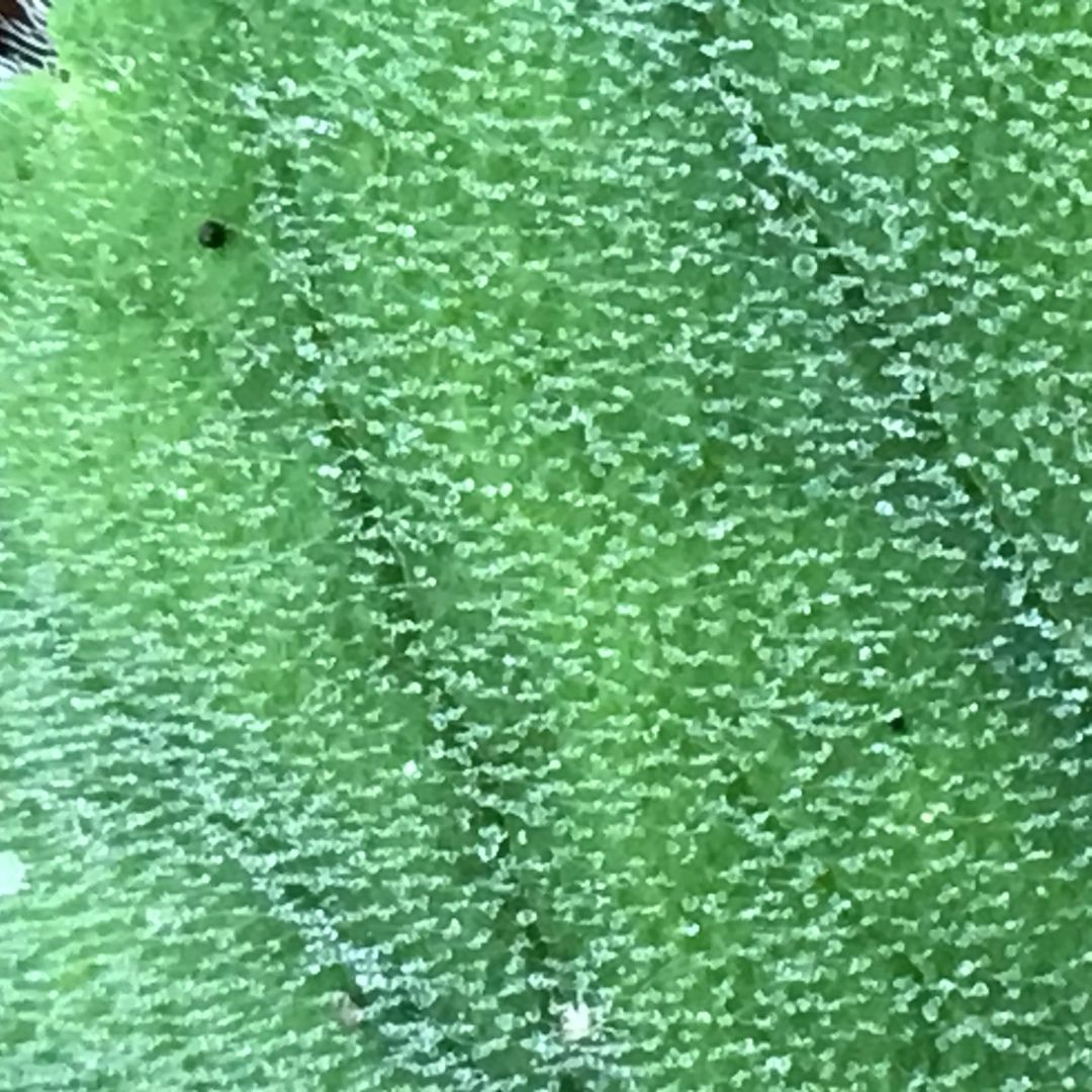 Outdoor Ed tweet media