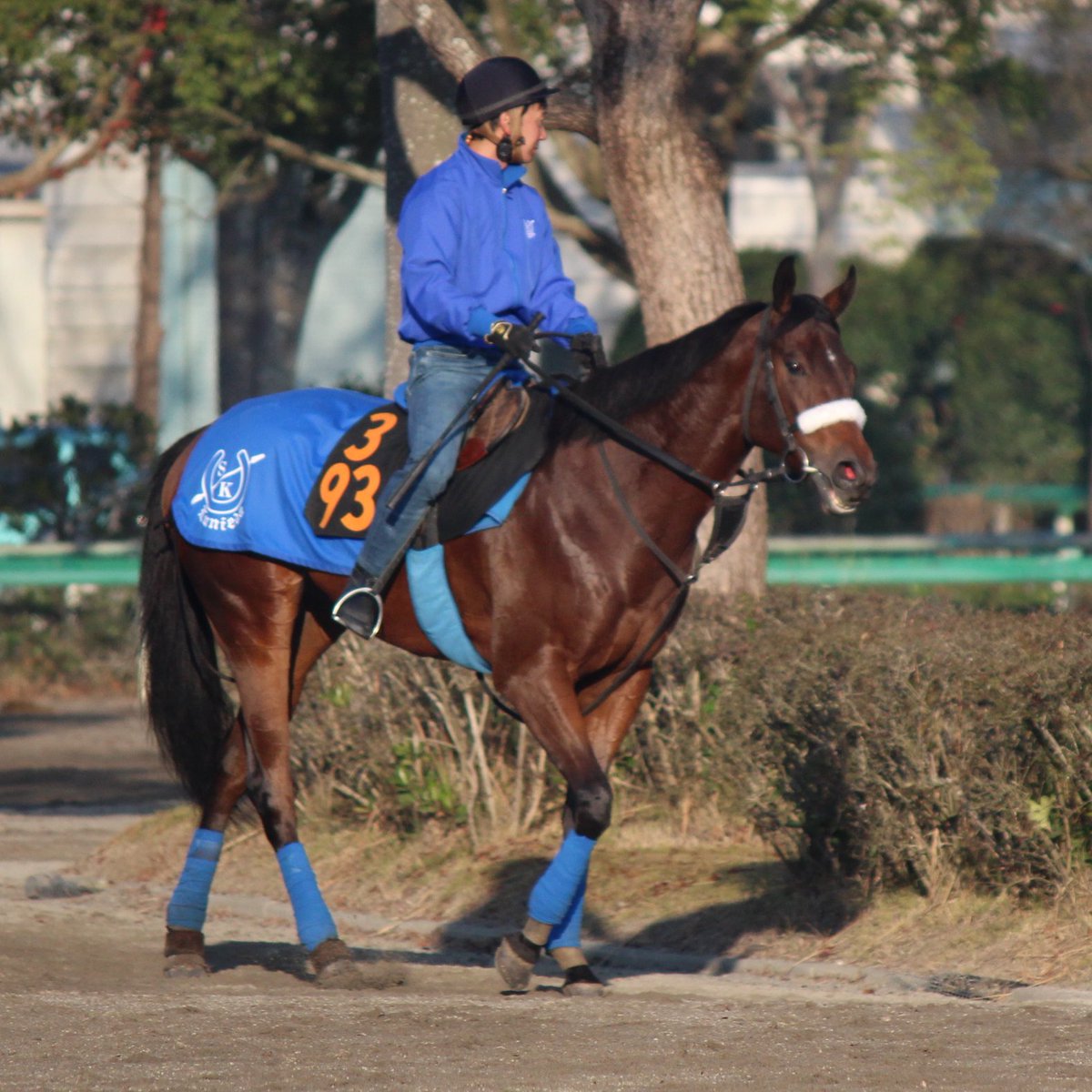 Girls Bar バー競馬昼の部 Girlsbarbarhiru Twitter