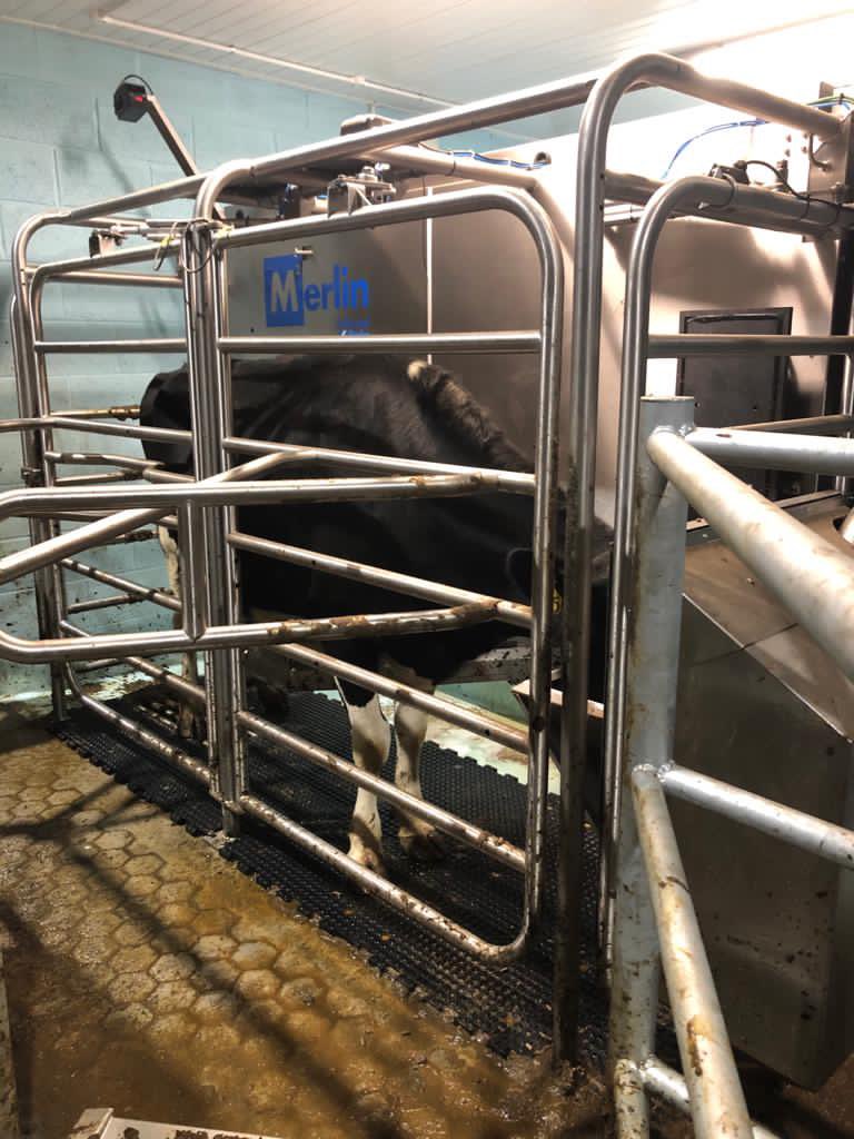 McCaskieLtd's tweet photo. The weather might be ๐ฉ but all is bright at this new @FullwoodPackoUK #m2erlin start up this morning. Great investment in technology and new cubicle house and some cool cow location software and other bits of tech for max efficiency #teamdairy #onestopshop https://t.co/0OfOFRbaSq