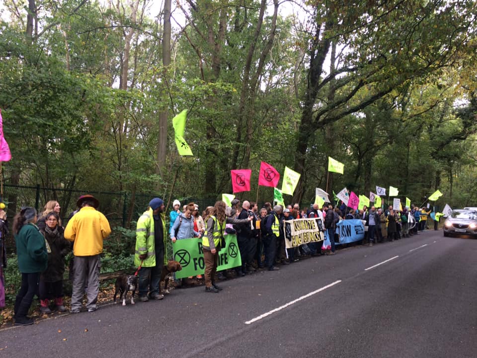 Surrey Greens tweet media