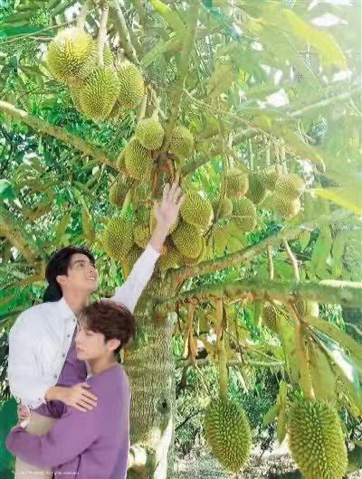 playmore_TH's tweet photo. ยังคงมาต่อเนื่องงงง!!!
มันใช่หรออออ หมดกัน!
หมดกัน ความสวีทที่แอดสร้างมา 🤣
กลัฟหนูรู้มั้ยลูก ในสายตาแม่ๆ
 #หวานใจมิวกลัฟ หนูดูหิวมาก 
ไม่งั้นรูปแบบนี้คงไม่เกิดขึ้น 😆
#PlaymorexMewGulf 
#playmorethailand https://t.co/tDyvdyLTXg