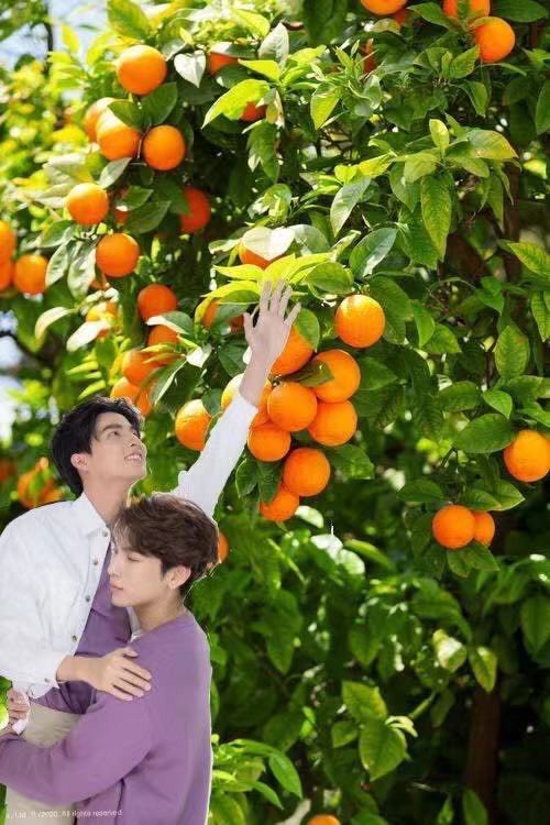 playmore_TH's tweet photo. ยังคงมาต่อเนื่องงงง!!!
มันใช่หรออออ หมดกัน!
หมดกัน ความสวีทที่แอดสร้างมา 🤣
กลัฟหนูรู้มั้ยลูก ในสายตาแม่ๆ
 #หวานใจมิวกลัฟ หนูดูหิวมาก 
ไม่งั้นรูปแบบนี้คงไม่เกิดขึ้น 😆
#PlaymorexMewGulf 
#playmorethailand https://t.co/tDyvdyLTXg