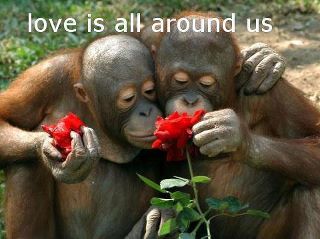 battenann's tweet photo. Even animals understand love❗ How much love do you see around you.   More importantly, how much 💗 do you share in the world?
What sort of things do you do to show your love?
#love #livelovecreateabudance #lovelife #abundance https://t.co/nCydliKaEX
