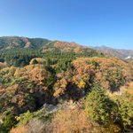 ツイートに含まれる画像