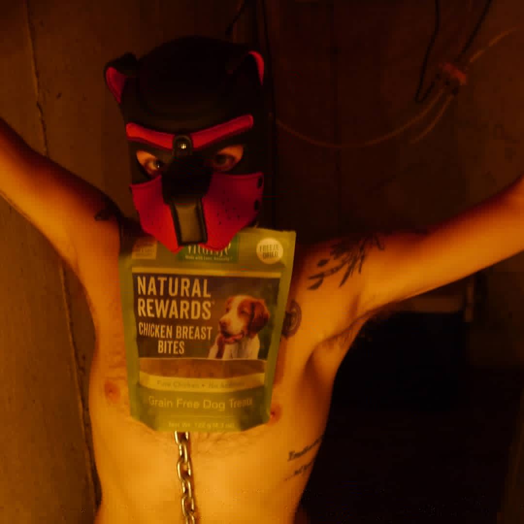 Unlochme1's tweet photo. Good boys get treats, but what do bad boys get?  Comment what you'd do to lucifer if he misbehaved 
#GayPupPlay #gaypup #gayfetish #gaybondage https://t.co/Ml59etEfb1