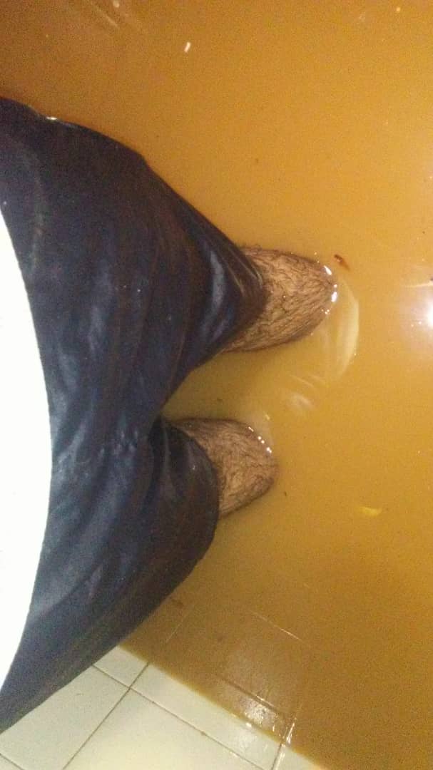 Ver imagen en Twitter