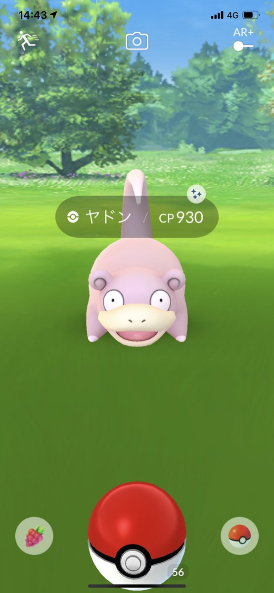 ヤドン色違い