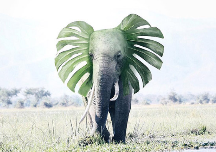 Le cose sono unite da legami invisibili. Non puoi cogliere un fiore senza turbare una stella.
#Galilei
🖼️ Azevedo