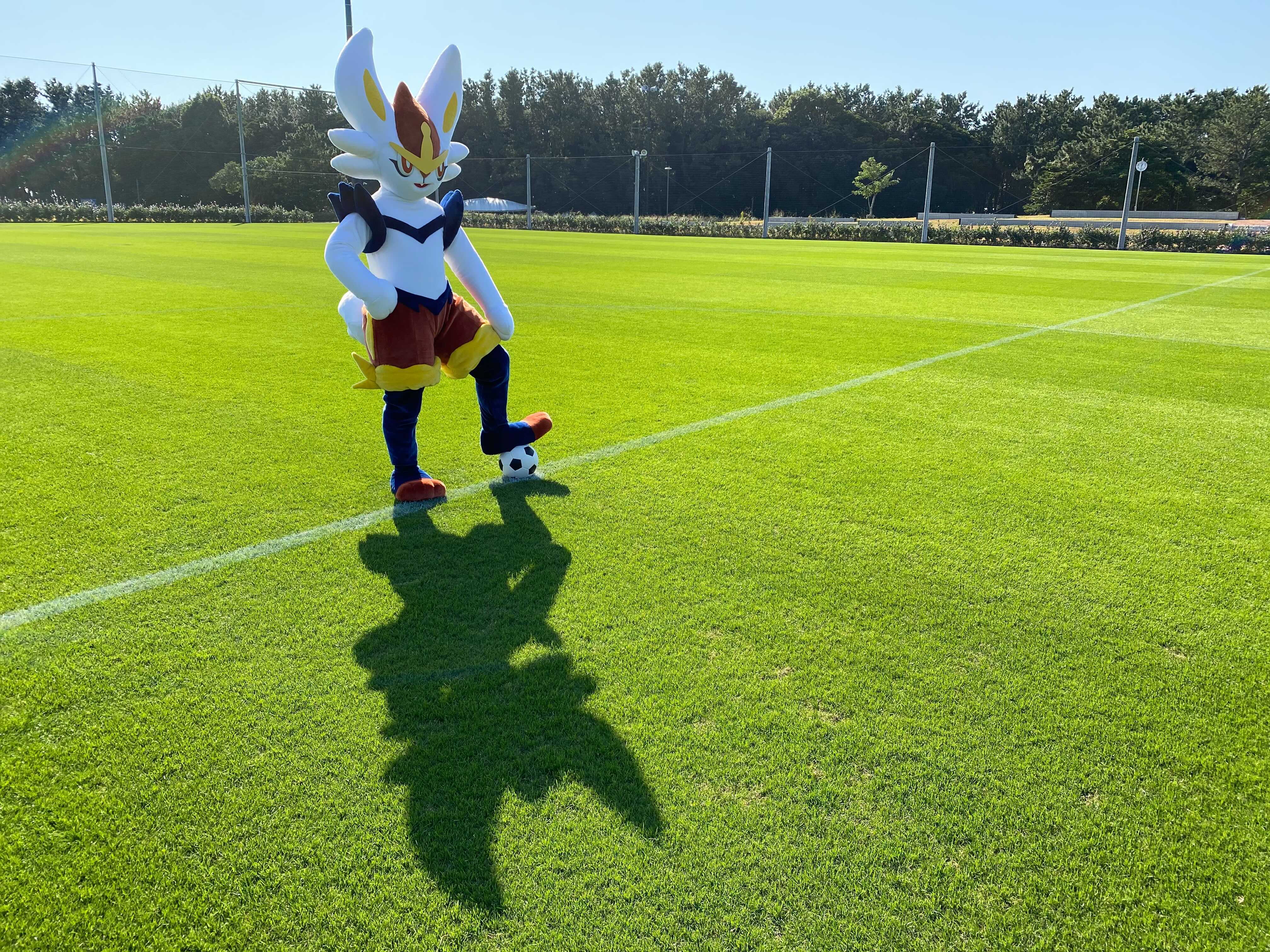 公式 ポケモン情報局 ストライカーポケモンの エースバーン 日本サッカー協会の Jfaキッズアンバサダー に就任 ポジションにつくとしたら やっぱりリベロ T Co D75lv2d5je Jfa T Co Iq0twnbvjt Twitter