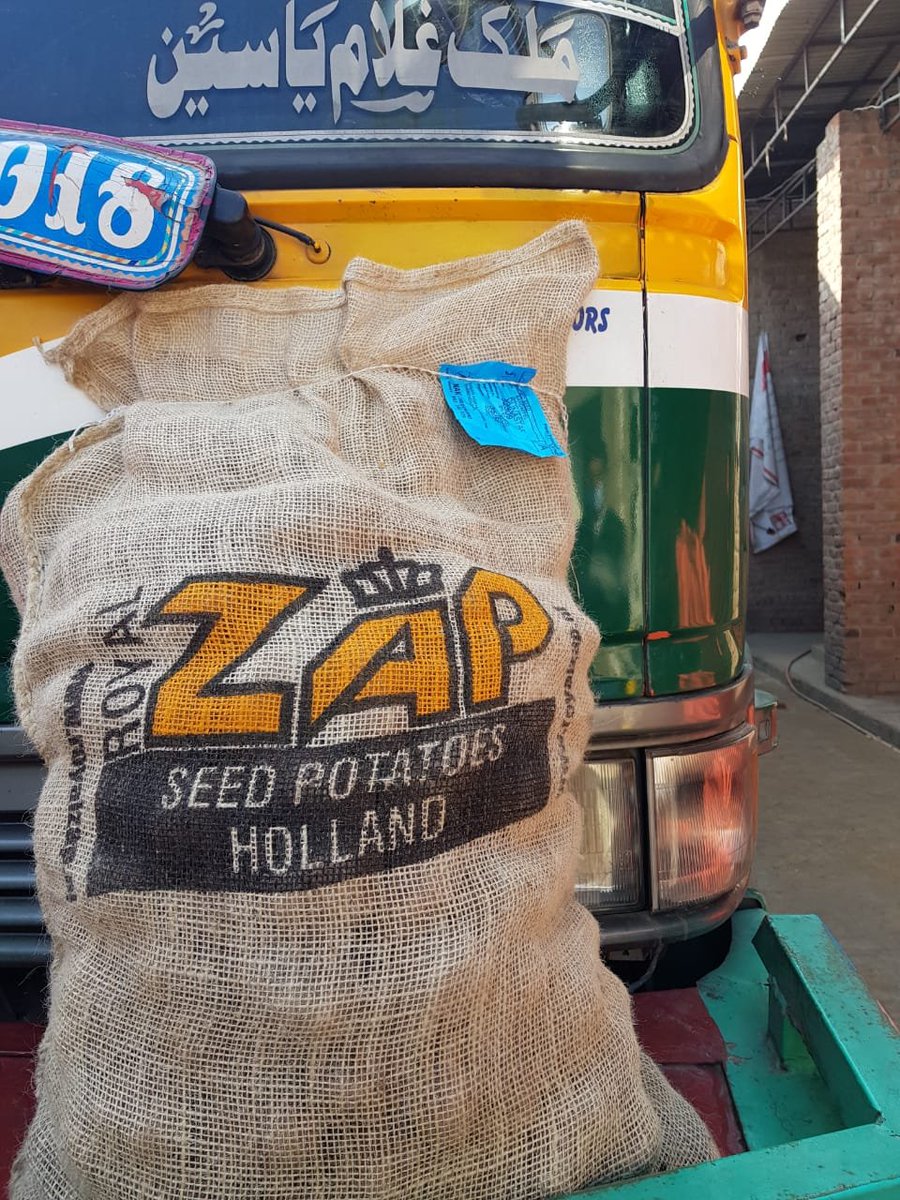 ZAPSemagri's tweet photo. Arrived ✔

#shipping #overseas
#ROYALQUALITYSEED
#potato #royalzap https://t.co/BeDsqV87Pj