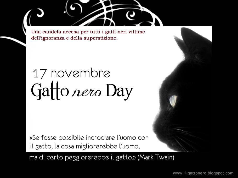 17 novembre, la giornata del gatto nero – EF Magazine