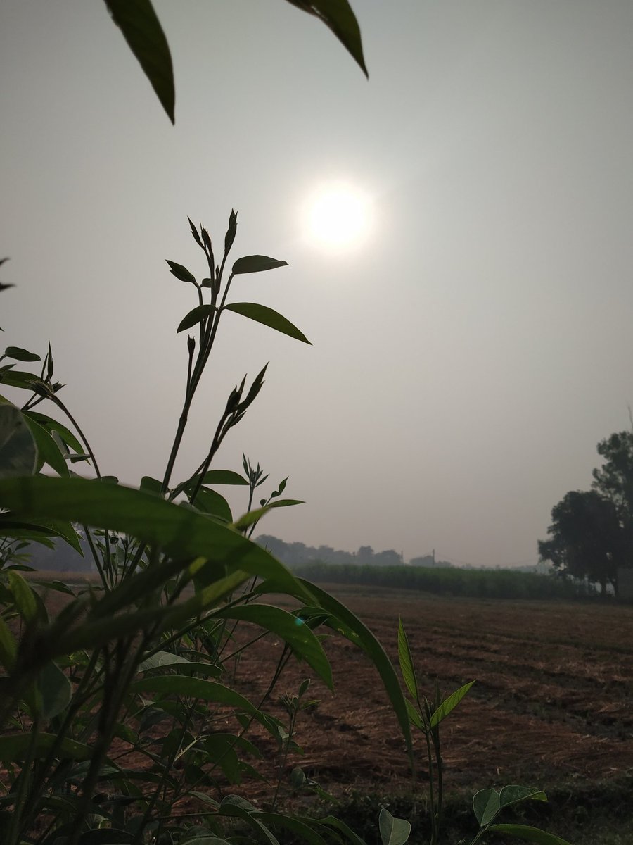ymrityunjay65's tweet photo. #mobilephotography 
#mobile #Note5Pro #redmi https://t.co/ssheEe4JRr
