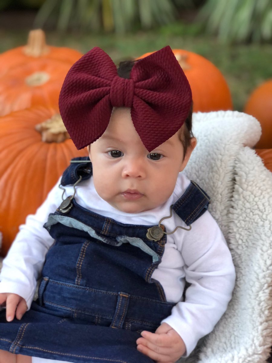 aaliyahv09's tweet photo. decided to come back to twitter and now show off my beautiful babies🥰🧡 https://t.co/GvAKdWZcIl