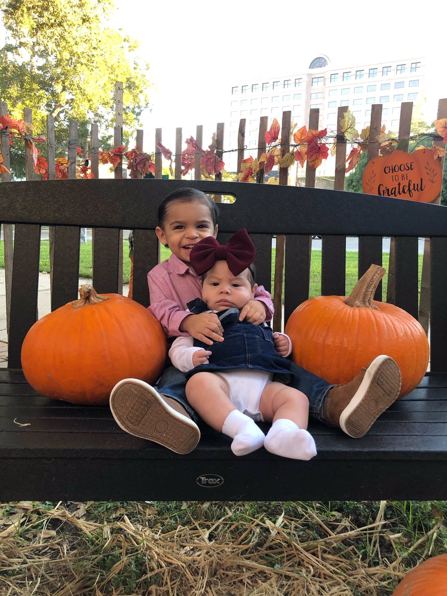 aaliyahv09's tweet photo. decided to come back to twitter and now show off my beautiful babies🥰🧡 https://t.co/GvAKdWZcIl