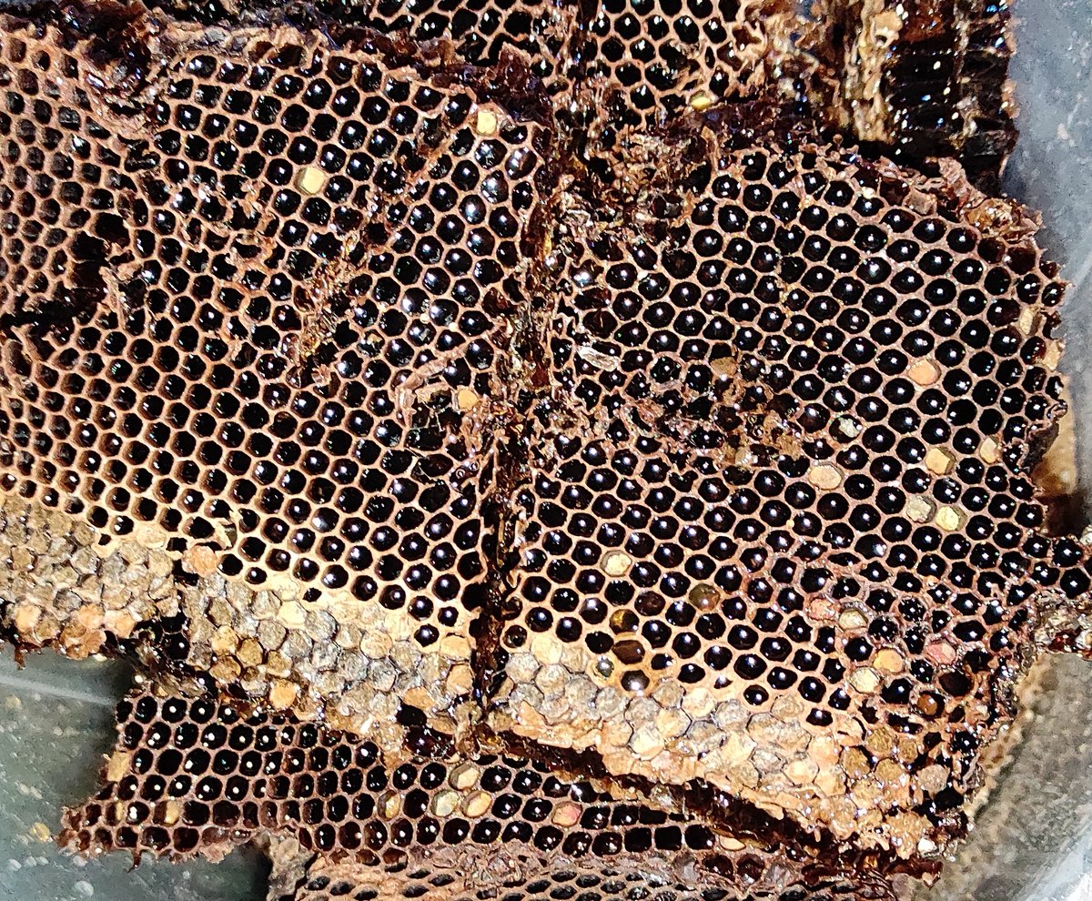 7. 45 minutes later, behold the results. Since I had delayed harvesting, the Bees had already started eating some of it. I got 9kgs, with more to be harvested in three months time according to Koech, the Bee whisperer.