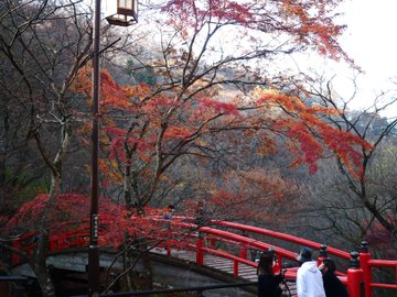 河鹿橋の紅葉21 見頃時期やライトアップ クチコミなど紹介 情報発信ブログサイト Blue Rose